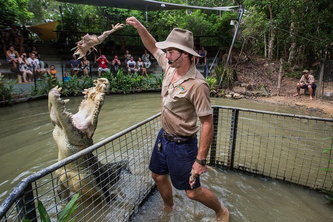 Hartley's Crocodile Adventures Day Trip from Palm Cove - Experience Quality and Authentic Insights from Reviews