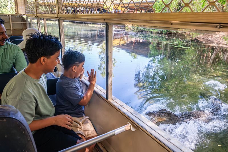 Hartleys Crocodile Adventures Full or Half Day Tour - Crocodiles, wetlands and the appeal of Hartley’s