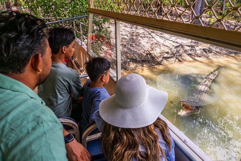 Hartleys Crocodile Adventures Full or Half Day Tour - The half-day visit: an easy choice for the wildlife park