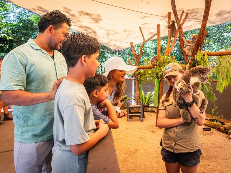 Hartleys Crocodile Adventures Full or Half Day Tour - What the cruise and shows add