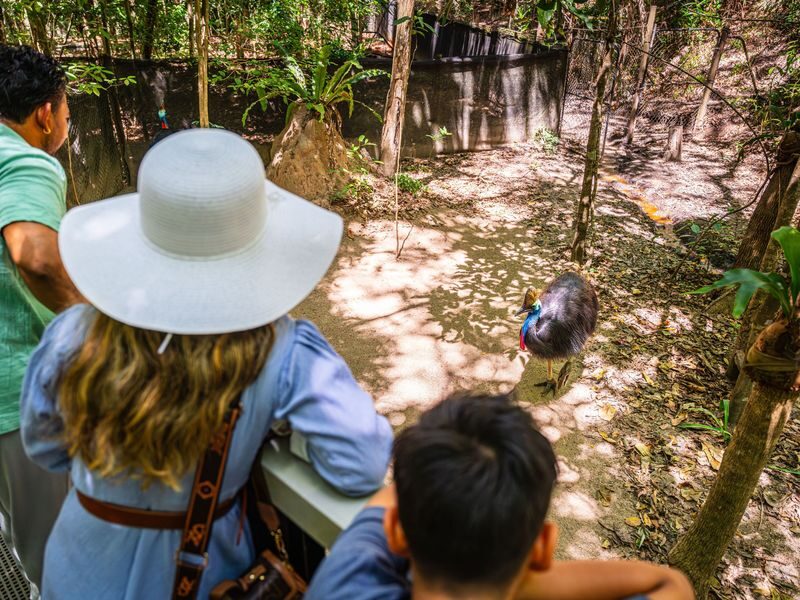 Hartleys Crocodile Adventures Full or Half Day Tour - Who should book Hartley’s Crocodile Adventures?