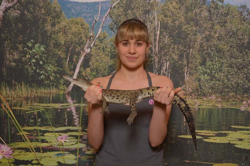 Hartley's Crocodile Adventures Park Entry - Exploring Hartleys Crocodile Adventures