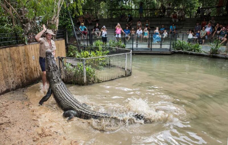 Hartley's Crocodile Adventures Park Entry - Practical Tips for Your Visit