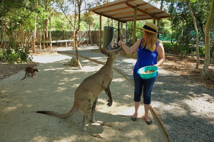 Hartley's Crocodile Aventures: Zootastic 5 Entry Ticket - Experience Highlights