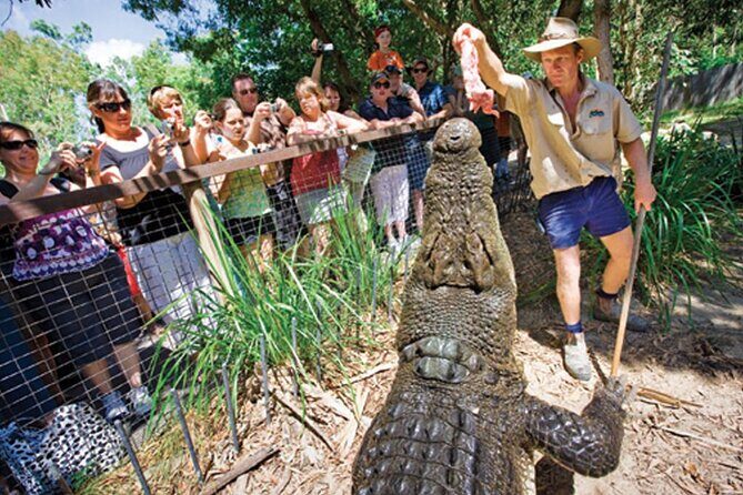 HARTLEY'S CROCODILE TRANSFER between Port Douglas & Hartley's Crocodile (return) - Review of HARTLEYS CROCODILE TRANSFER between Port Douglas & Hartleys Crocodile
