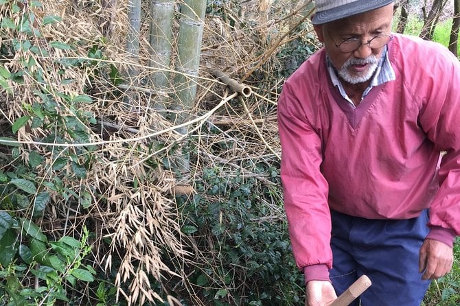 Harvest Experience (Rural Cuisine Using Seasonal Vegetables) - Directions to the Meeting Point