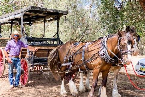 Harvest the Hunter Wine and Produce 3-Hour Tour - Cheese and chocolate add variety, not a meal