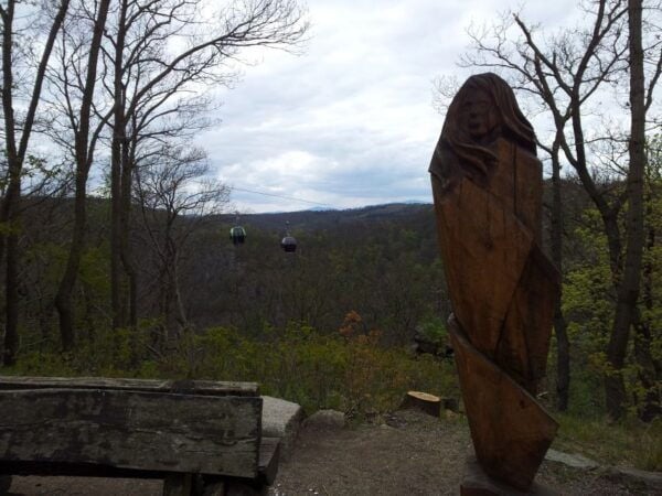 Harz Mountains Day Trip - Common Questions