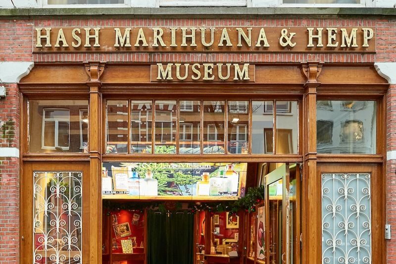 Hash Marihuana & Hemp Museum Admission in Amsterdam - Start with the story behind the plant