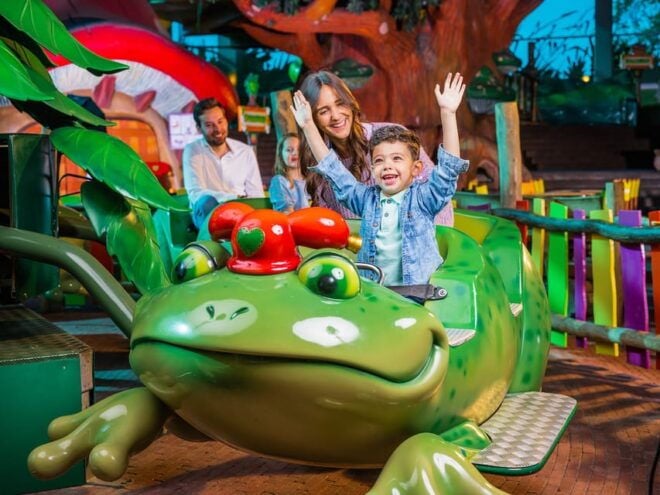Hasselt: Plopsa Indoor Hasselt Theme Park Entrance Ticket - Accessibility Information