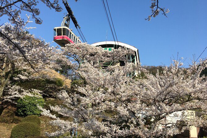 Hassle Free Journey in Beppu Yufuin Scenic MiniVan half day tour - Who Will Love This Tour?