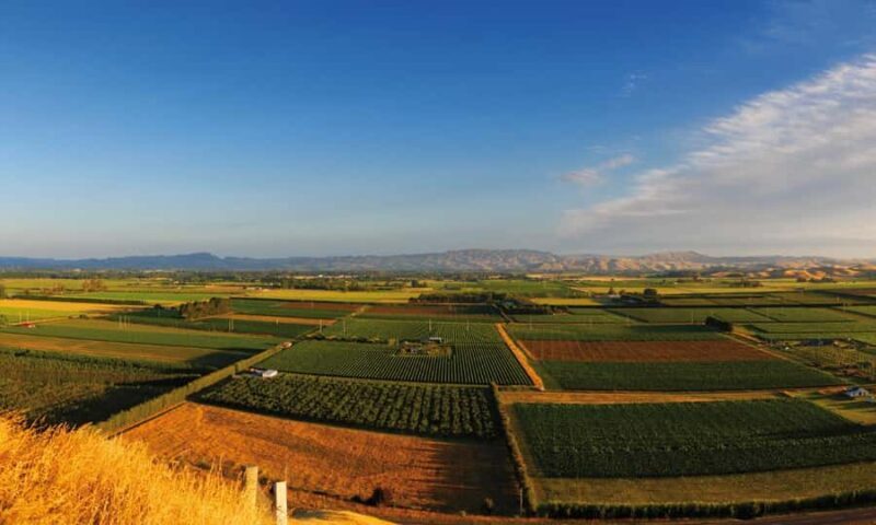 Hastings: Bridge Pa/Gimblett Winery Tour on a Regular Bike - Good To Know