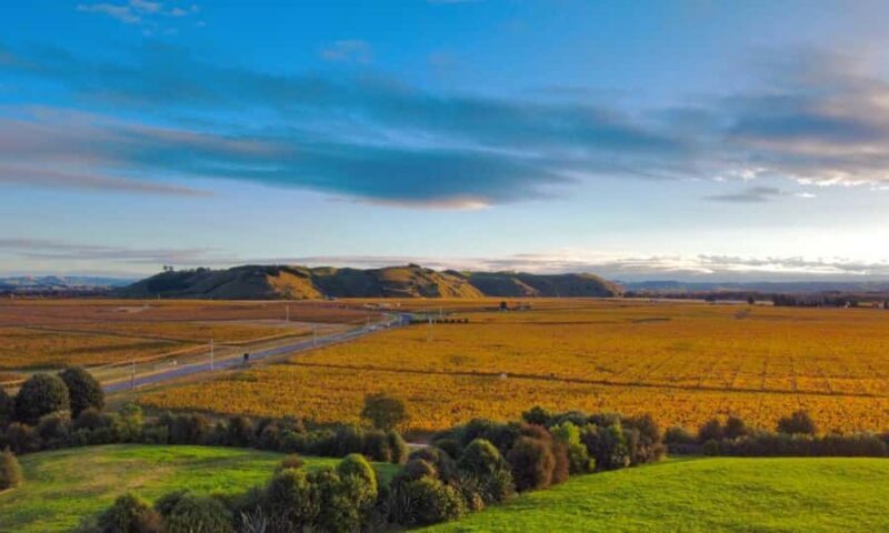 Hastings: Bridge Pa/Gimblett Winery Tour on a Regular Bike - FAQ