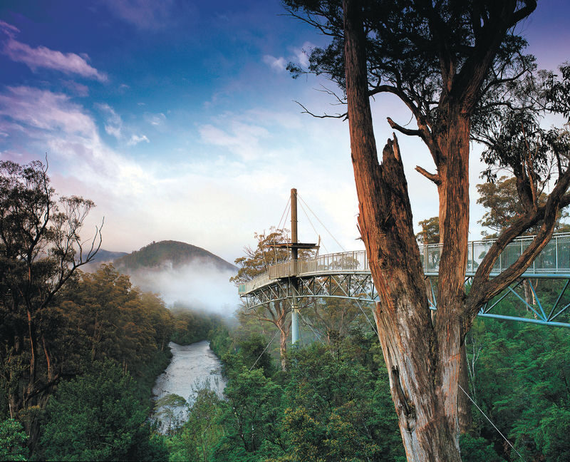 Hastings Cave, Tahune Airwalk and Huon Tasting Day Tour - At a glance