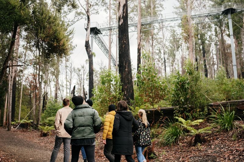 Hastings Cave, Tahune Airwalk and Huon Tasting Day Tour - A long day into Tasmania’s Huon country