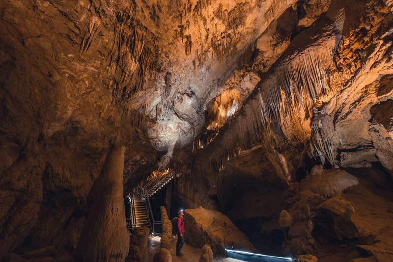 Hastings Cave, Tahune Airwalk and Huon Tasting Day Tour - Hastings Caves: an hour underground