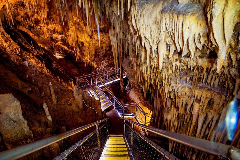 Hastings Cave, Tahune Airwalk and Huon Tasting Day Tour - What the price covers, and what it doesn’t