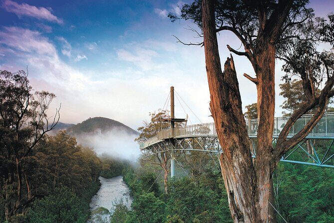 Hastings Caves, Tahune Airwalk and the Huon Tasting Trail - Good To Know