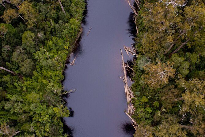 Hastings Caves, Tahune Airwalk and the Huon Tasting Trail - Transportation and Logistics