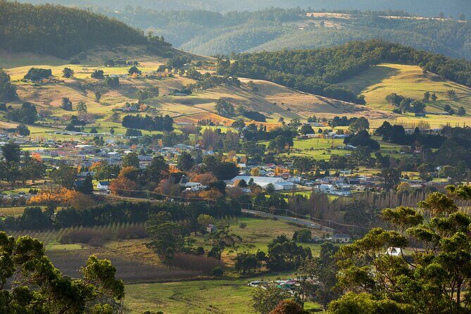 Hastings Caves, Tahune Airwalk and the Huon Tasting Trail - Final Thoughts
