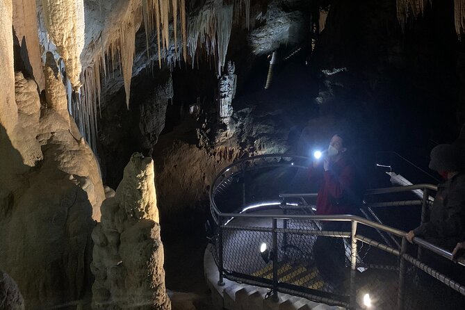 Hastings Caves, Tahune and Huon Valley Full Day Tour From Hobart - Tour Overview and Itinerary