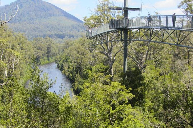 Hastings Caves, Tahune and Huon Valley Full Day Tour From Hobart - Pickup and Cancellation Policy