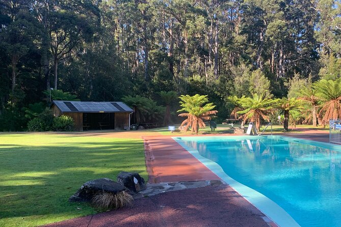 Hastings Caves, Tahune and Huon Valley Full Day Tour From Hobart - Traveler Photos and Reviews