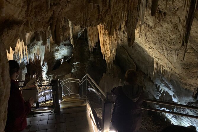 Hastings Caves, Tahune and Huon Valley Full Day Tour From Hobart - The Sum Up