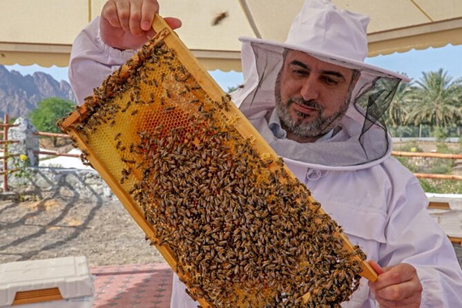 Hatta Tour From Dubai (Private) - Hatta Heritage Village