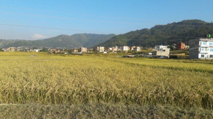 Hattiban - Champadevi: Day Hiking Tour - Activity Details