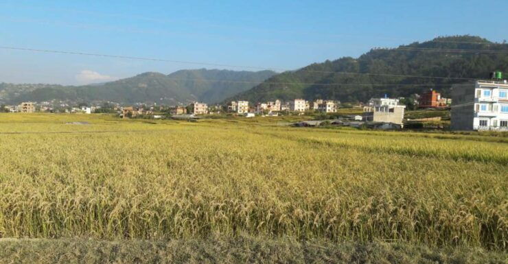 Hattiban - Champadevi: Day Hiking Tour - Experience Highlights