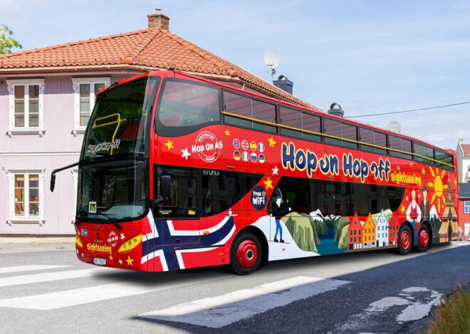 Haugesund: 1-Day Hop-On Hop-Off Sightseeing Bus Ticket - Accessibility and Amenities
