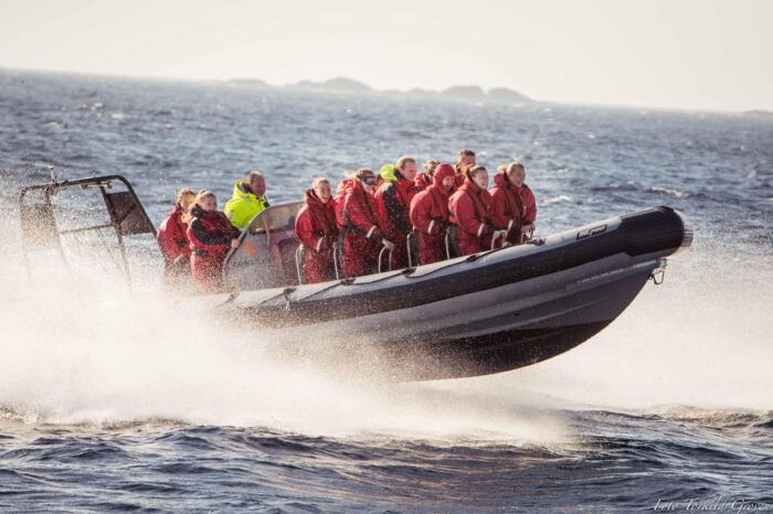 Haugesund: RIB Safari to the island communities - Final Thoughts