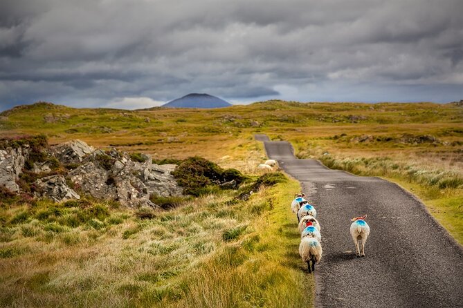 Haunted Bog Road Tour. Galway. Private Guided. 3 Hours - Inclusions and Add-ons