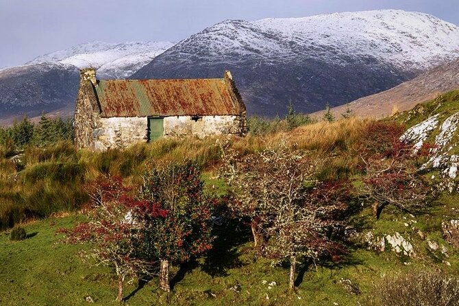 Haunted Bog Road Tour. Galway. Private Guided. 3 Hours - Additional Information
