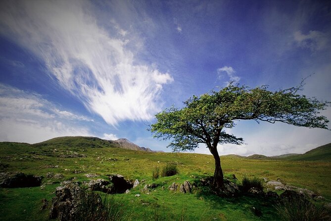 Haunted Bog Road Tour. Galway. Private Guided. 3 Hours - Haunted Bog Road Tour Specifics