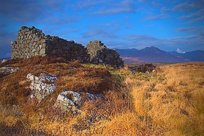 Haunted Bog Road Tour. Galway. Private Guided. 3 Hours - Common Questions