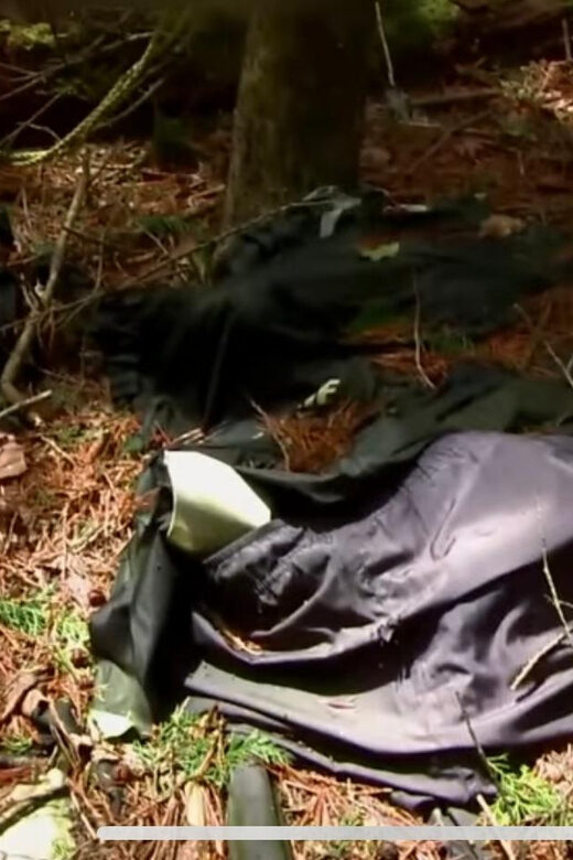 Haunted Hospital for Bravest Ghost Hunters & Silent Forest - FAQ