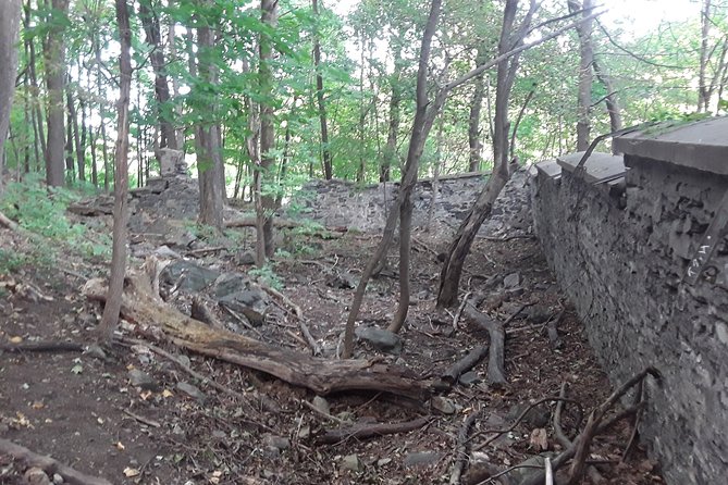 Haunted Mountain - Nighttime Guided Walks: A Spooky Adventure