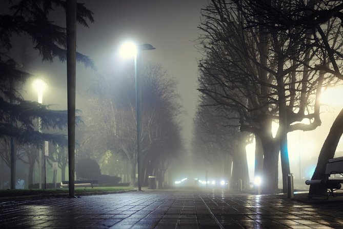 Haunted Savannah Paranormal Ghost Tour - Viator Information