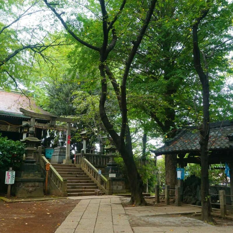 Haunted Tokyo Night Walk: Ghost Stories, Myths & Legends - Haunted Tokyo Night Walk: Ghost Stories, Myths & Legends