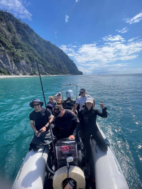 Hauraki Gulf: Hammerhead Experience Dive Charter - Who Should Consider This Tour?