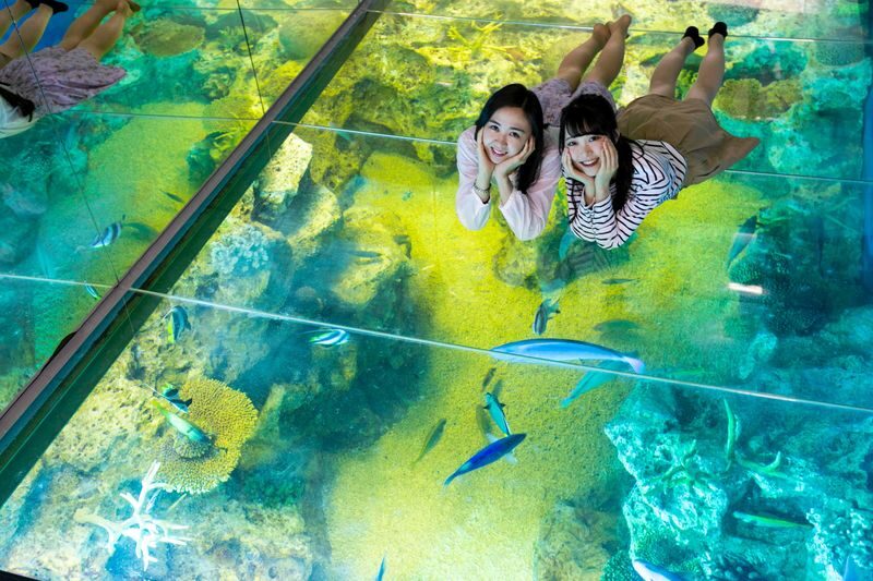 Have Fun in Fukui Pass - Who should book the Have Fun in Fukui Pass?