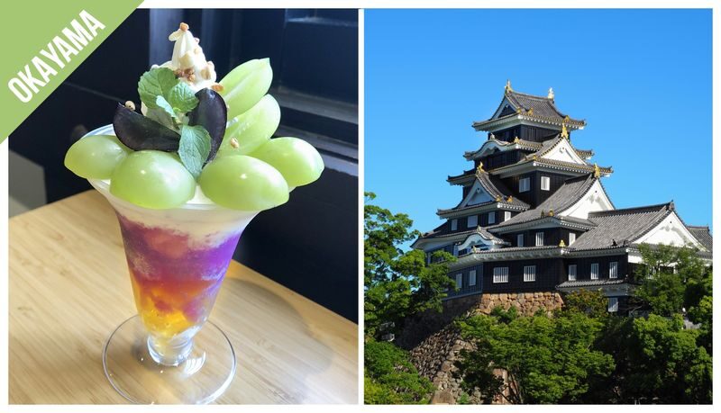Have Fun in Japan Pass (with options: Okinawas DMM Aquarium and Kuyshus Kokura Castle) - The real test is whether you would pay for the stops anyway