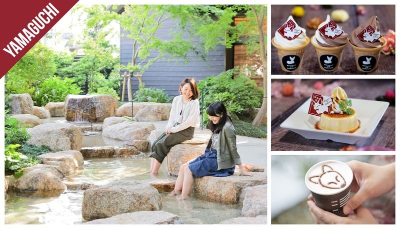 Have Fun in Japan Pass (with options: Okinawas DMM Aquarium and Kuyshus Kokura Castle) - A flexible format with a little homework attached