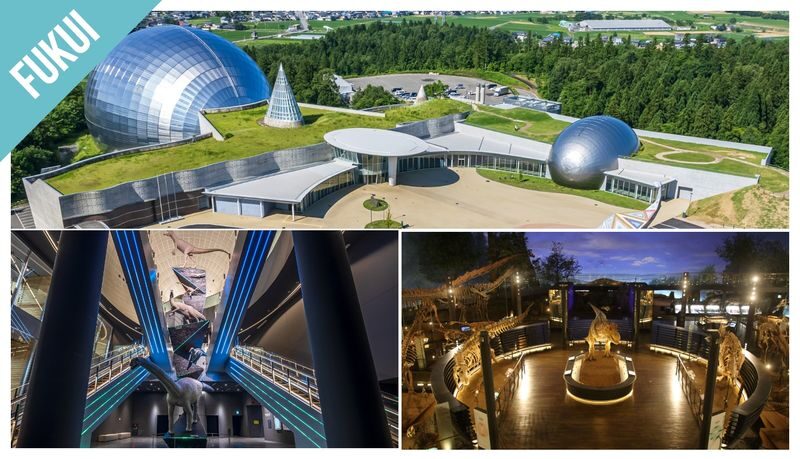 Have Fun in Japan Pass (with options: Okinawas DMM Aquarium and Kuyshus Kokura Castle) - Who should consider the pass