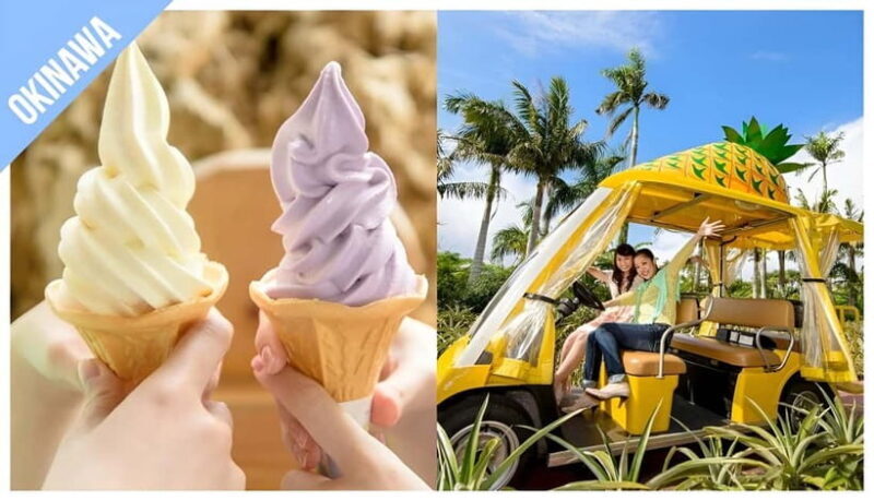 Have Fun in OKINAWA Pass (1 Week Free Pass) - Practical Details and Tips