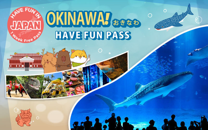 Have Fun in Okinawa Pass (with options: Churaumi Aquarium and DMM Aquarium) - A pass built around your own Okinawa plans