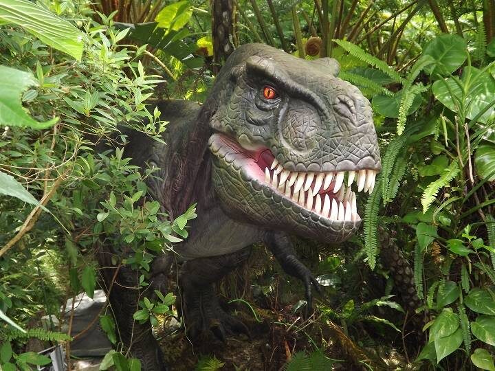 Have Fun in Okinawa Pass (with options: Churaumi Aquarium and DMM Aquarium) - Choose three stops that fit your route
