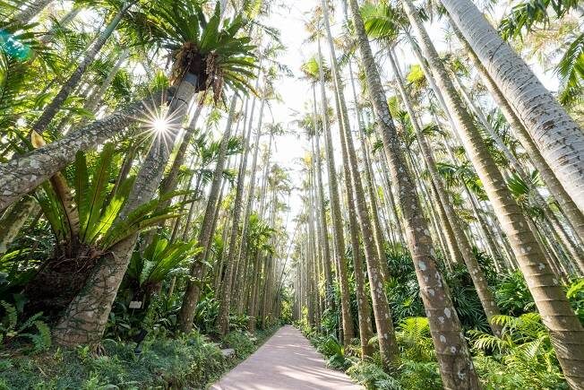 Have Fun in Okinawa Pass (with options: Churaumi Aquarium and DMM Aquarium) - Where the value is, and where it can slip away